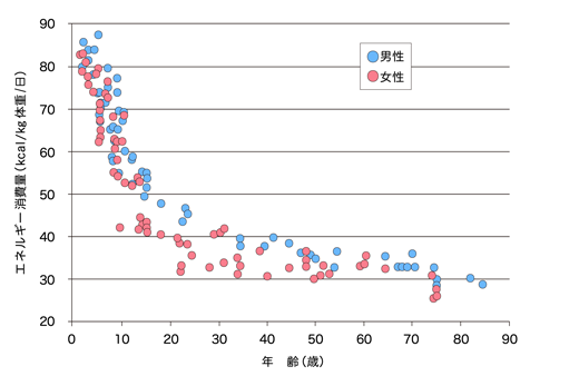 年齢とエネルギー消費量