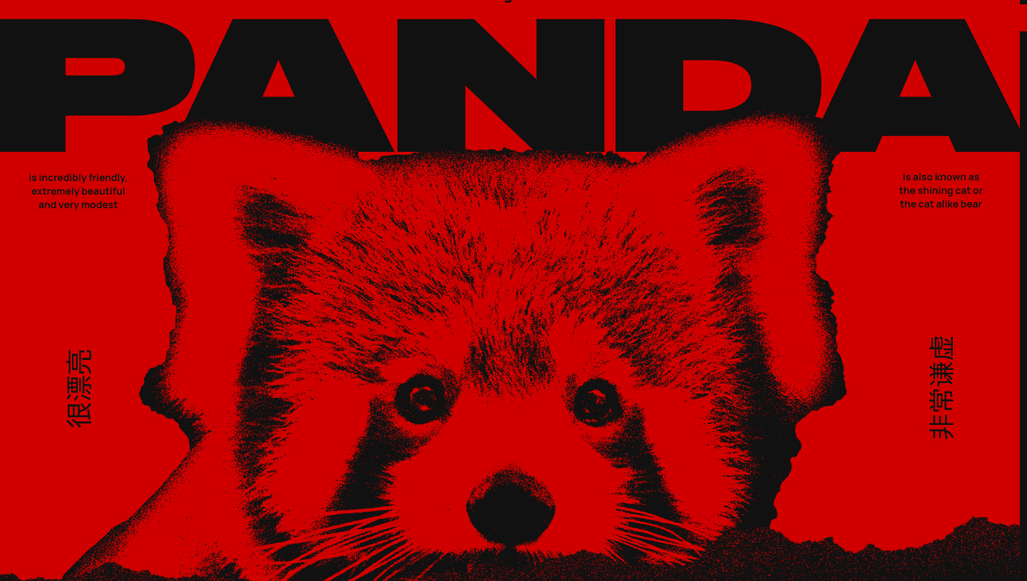 Red Panda website animation example