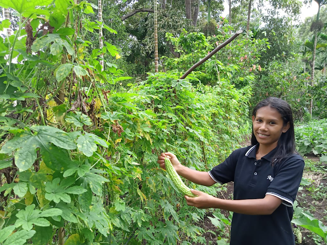 Petani Muda menjadi Perlopor Pertanian Konservasi