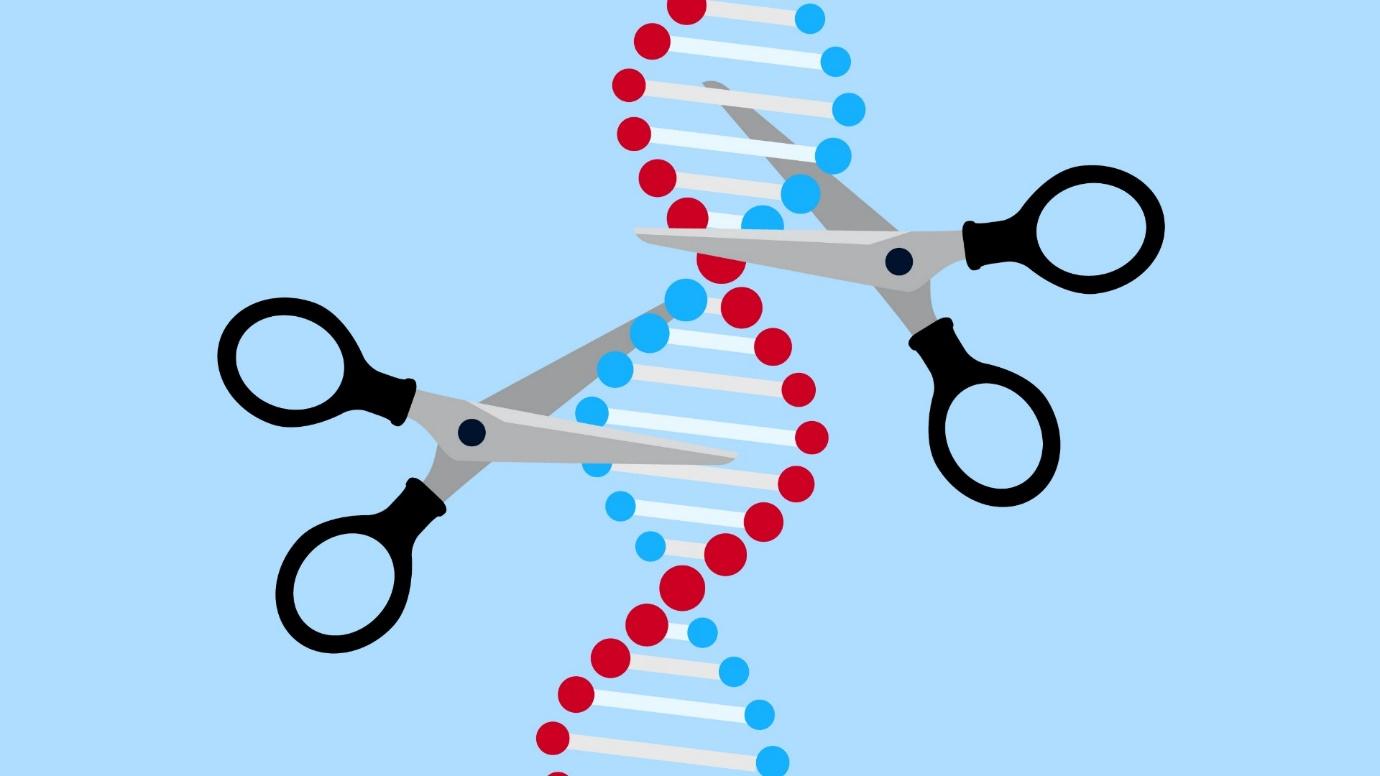 15 Intriguing Facts About Gene Editing (E.G., Crispr-Cas9) - Facts.net