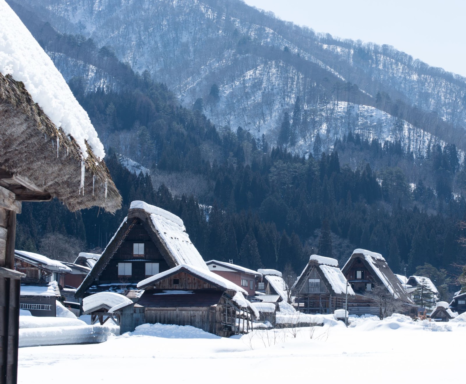 Shirakawa-go in winter