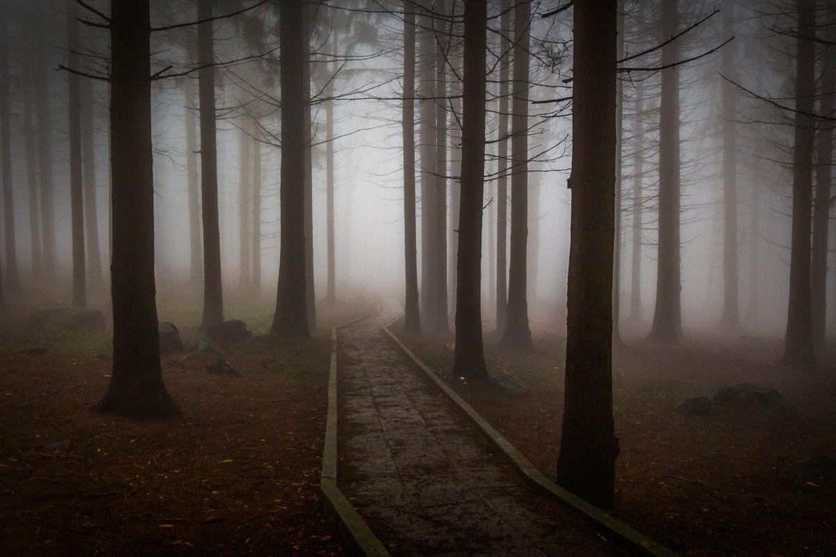 Exploring Emotional and Spiritual Implications