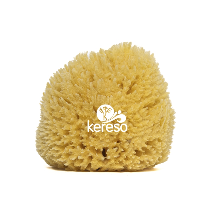 grass sea sponge