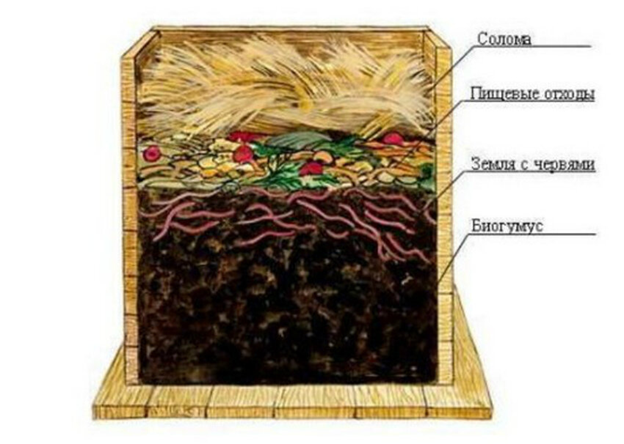 Сколько стоит перерабатывать пищевые отходы в вермикомпостере