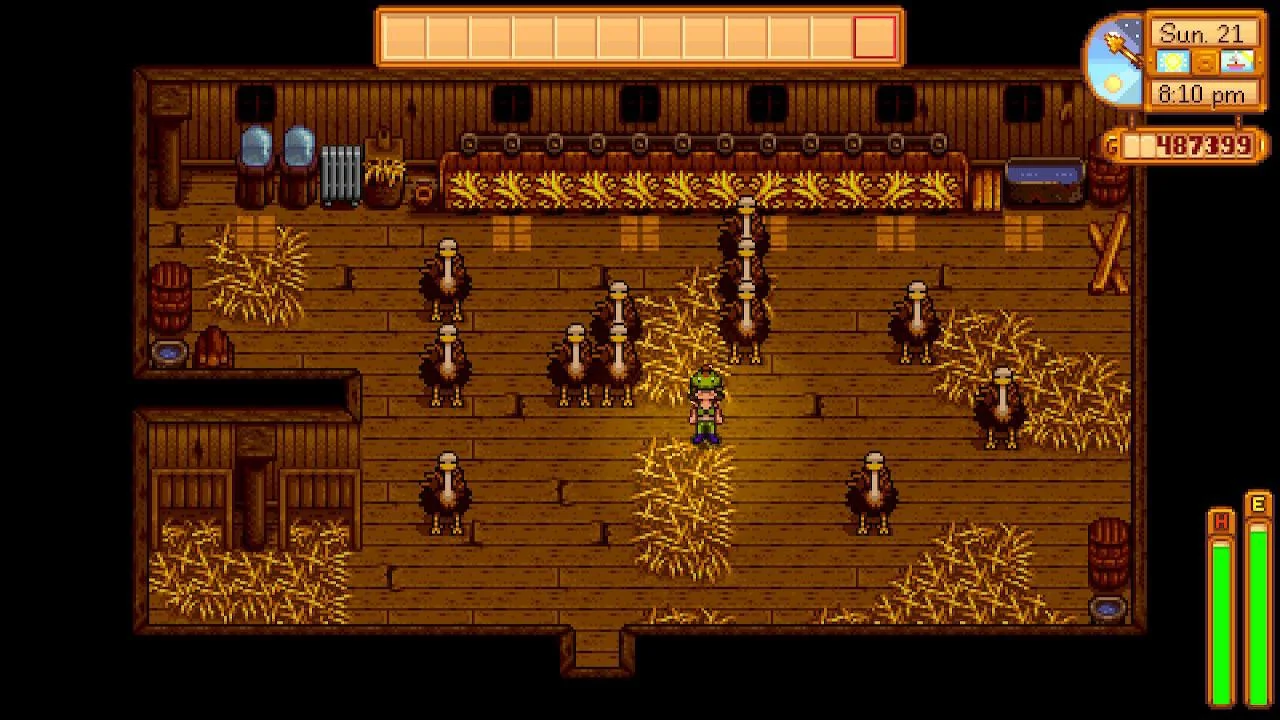 Ostrich Stardew Valley