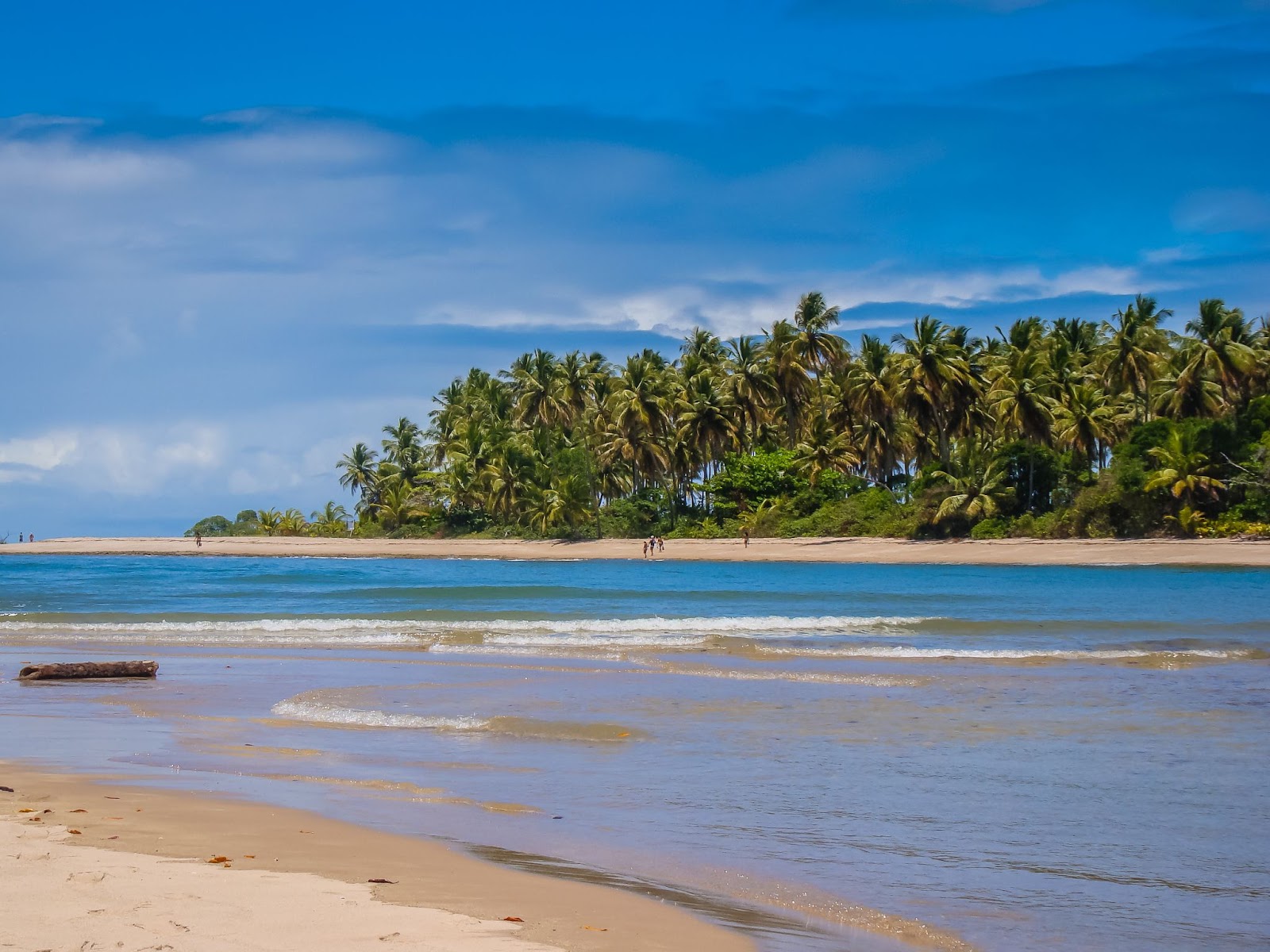 Praia do Moreré, na Ilha de Boipeba, Bahia. Os grandes bancos de areia são separados pelas águas azuis do mar, que formam ondas discretas. Há poucas pessoas caminhando pela praia, em frente a uma mata de palmeiras verdes
