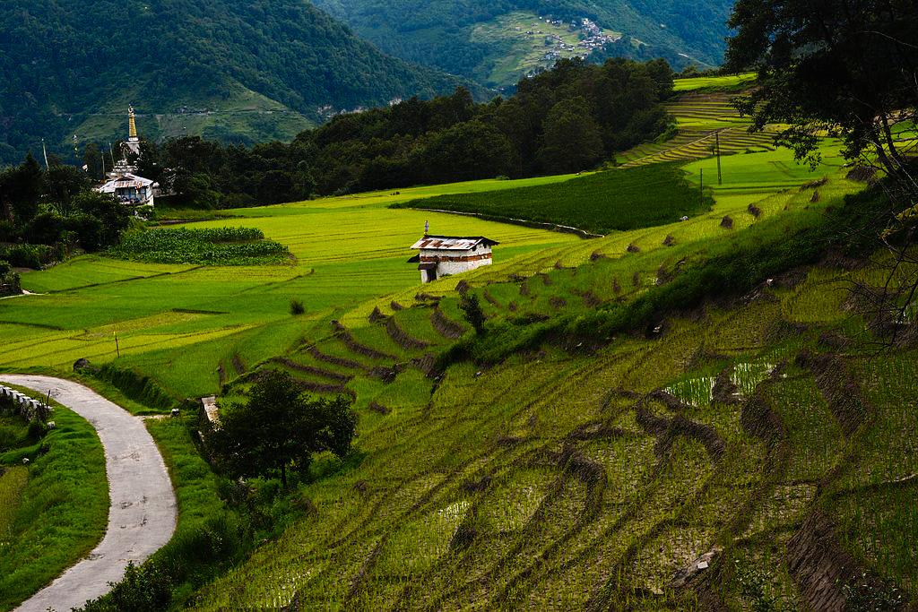 Ziro - India