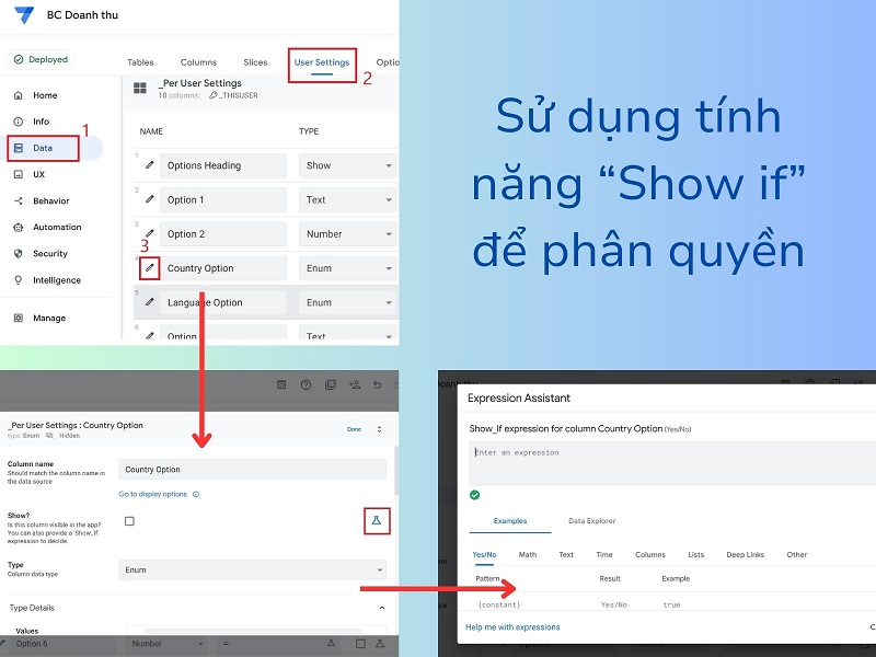 Sử dụng hàm quy tắc “Show if” để kiểm soát quyền truy cập vào dữ liệu của người dùng