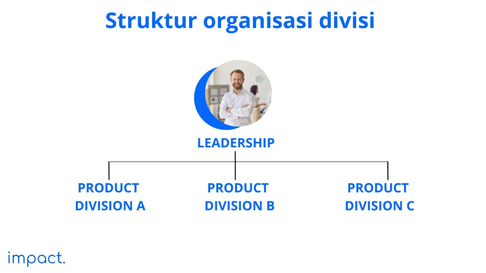  contoh struktur organisasi divisional
