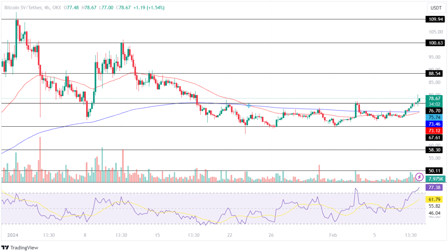 BSV Price Analysis