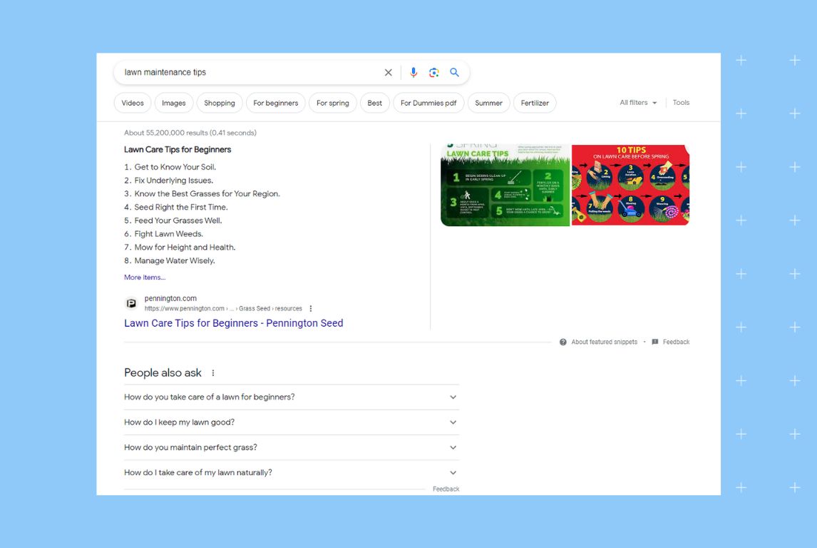 Image shows how organic results show up for lawn care business query