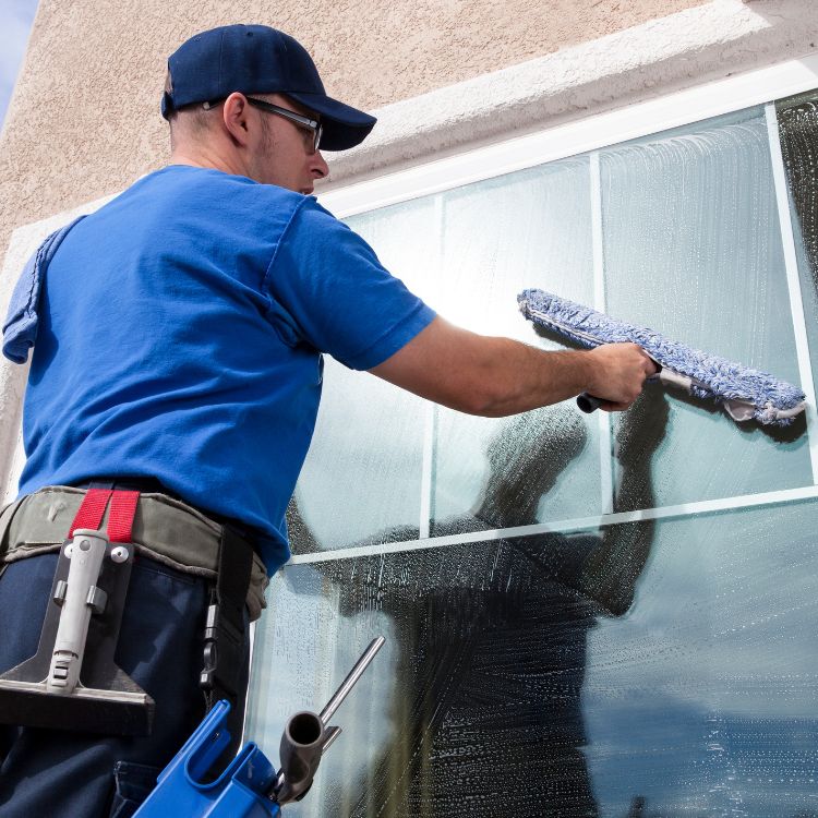 window cleaning professional cleaning window 