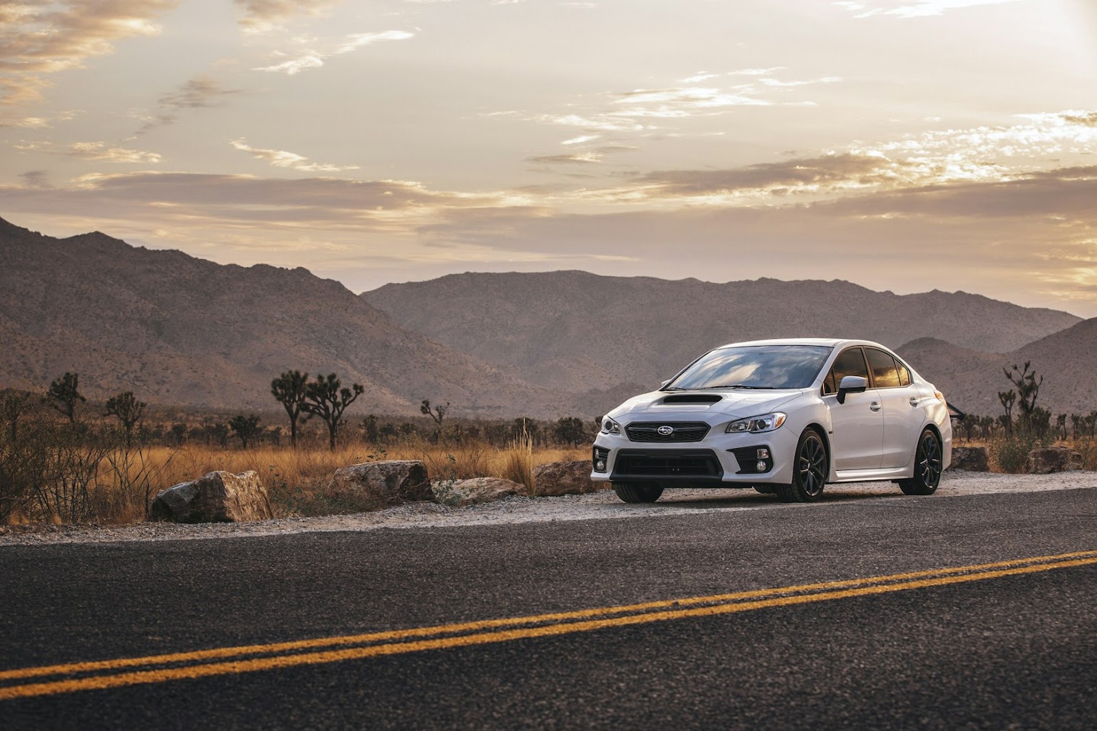 Spring Cleaning for Your Subaru: Essential Maintenance Tips 