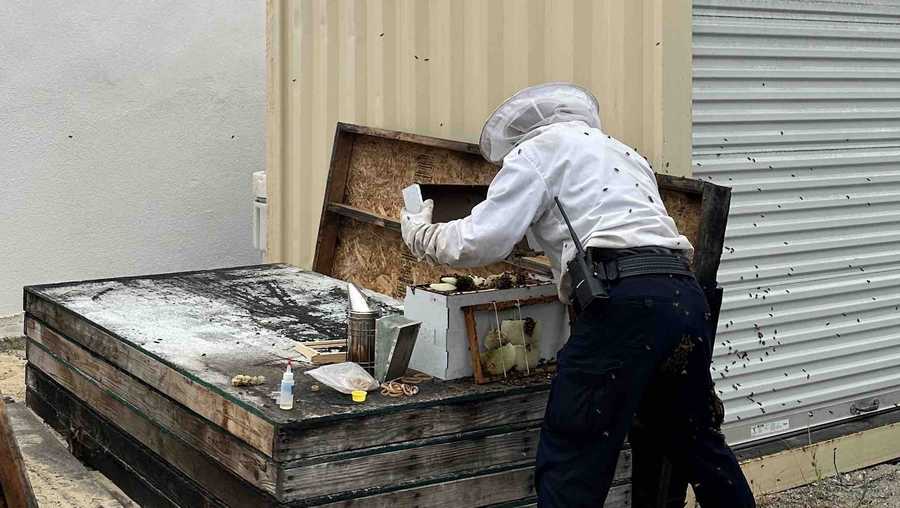 Cheap Asbestos Removal Sydney  