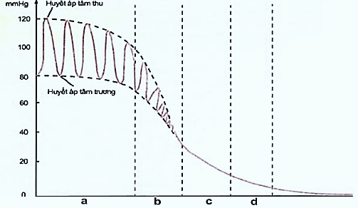 https://lh7-us.googleusercontent.com/3s6IQ0JRUJinArC_tbX6SAe4dpQQGAsV-1lmgNsTbsfW1Cn-sEIcvuGlUoW3VoQs6w5lD_afe-MKDTdBRYkWblvTVCyBszb9UMKDtmDFE-DaR-su2aI-pzOjWqt4VHIZM15xFHfqL_6Z5xE=s800