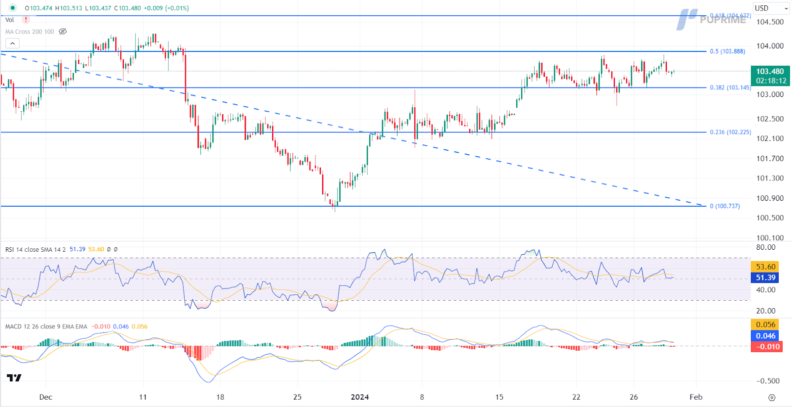 dollar index dxy price chart 30 January 2024