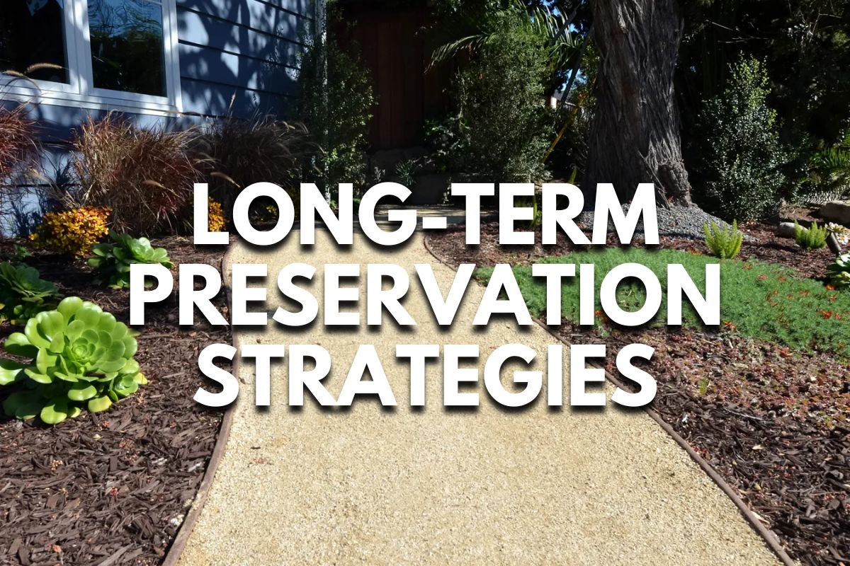 Long-Term Preservation Strategies