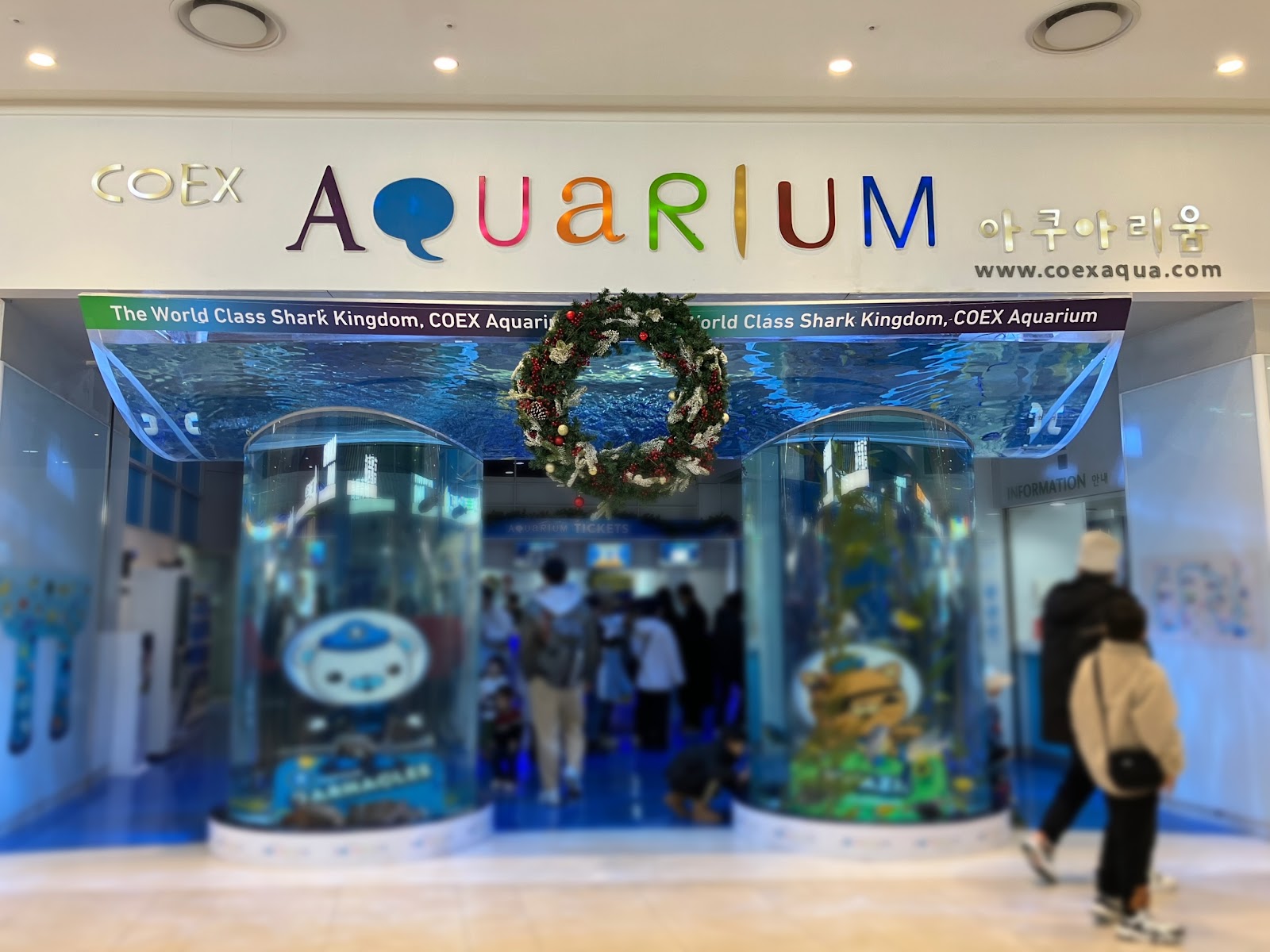 子連れ韓国にもデートにも！韓国最大級の水族館【COEX AQUARIUM】に行ってみた COEX MALL
