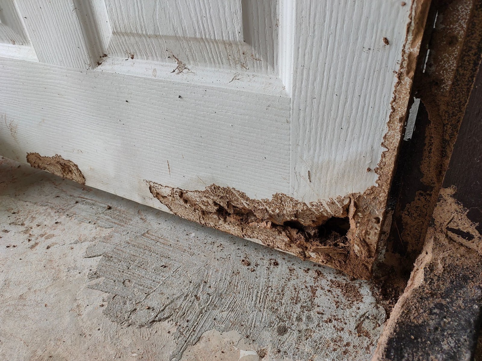Water damage on a door