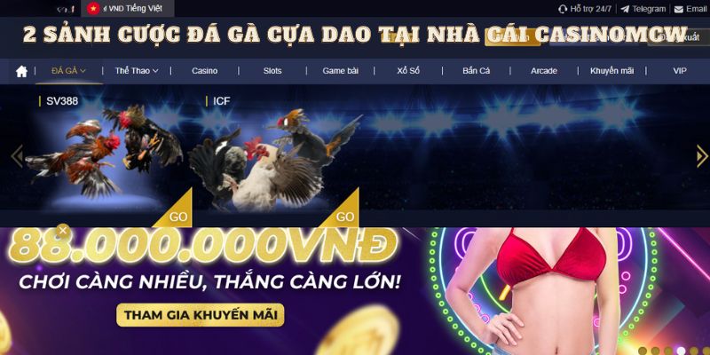 Khám phá 2 sảnh cược đá gà cựa dao tại nhà cái casino mcw