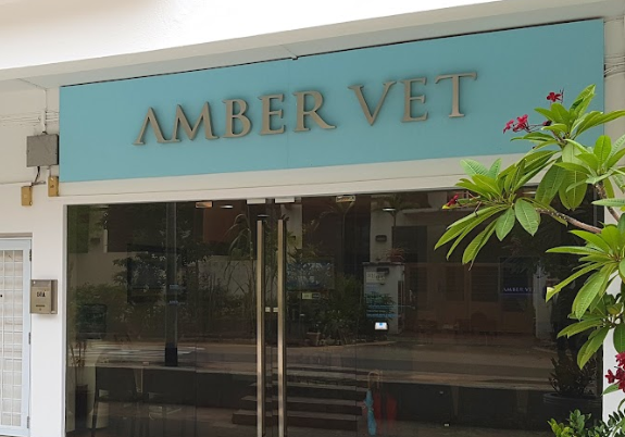 vet clinic near me