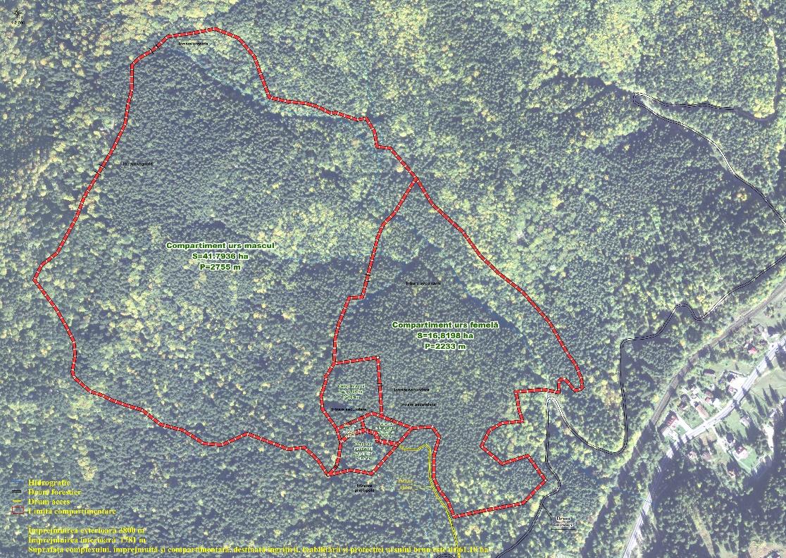 A map of a forest

Description automatically generated