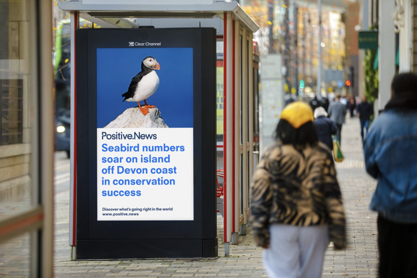 Image of a digital ad about soaring number of seabirds on an island off the Devon coast.