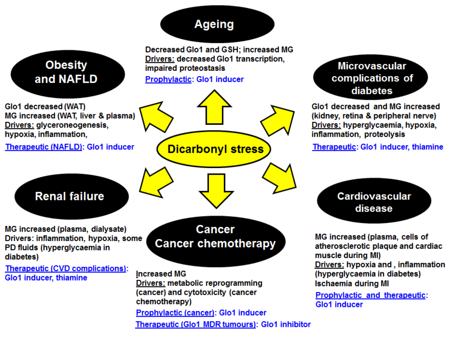 A diagram of a stress-free disease

Description automatically generated with medium confidence