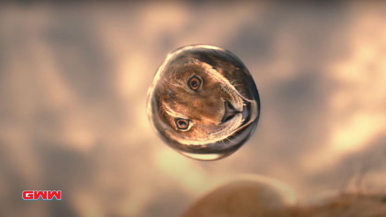 Mufasa's reflection on a drop of water in Mufasa: The Lion King movie
