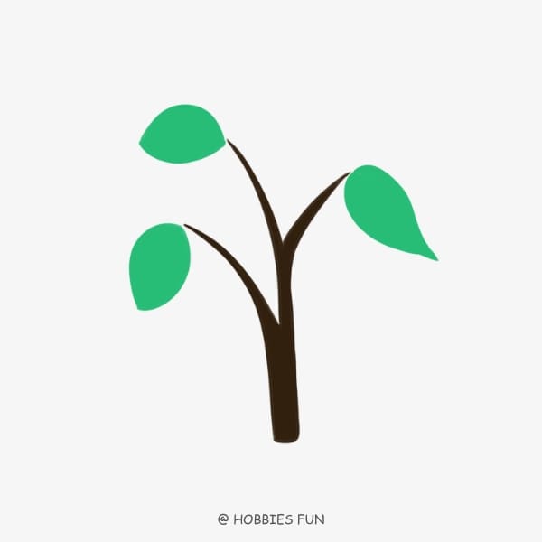 draw a tree, Tree with Big Leaves