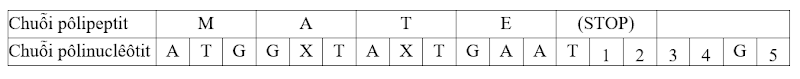 https://lh7-us.googleusercontent.com/45fWD1oeUp_veSGXrlGPIIL7OpaRTXA20PtONBDAj7jrD_qBAPMu699PEAvyjRMa5iy0UOLe57fxUya0IXaL5TMuAfFyNlYbADguHGDabBnVcEXEzDoYJWlT_m3K5laW4Lr74WgSawyJaus=s800