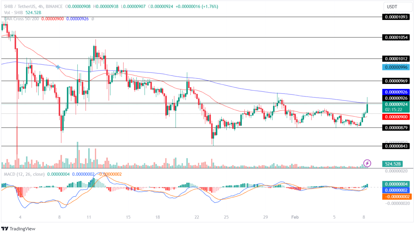 SHIB Price Analysis