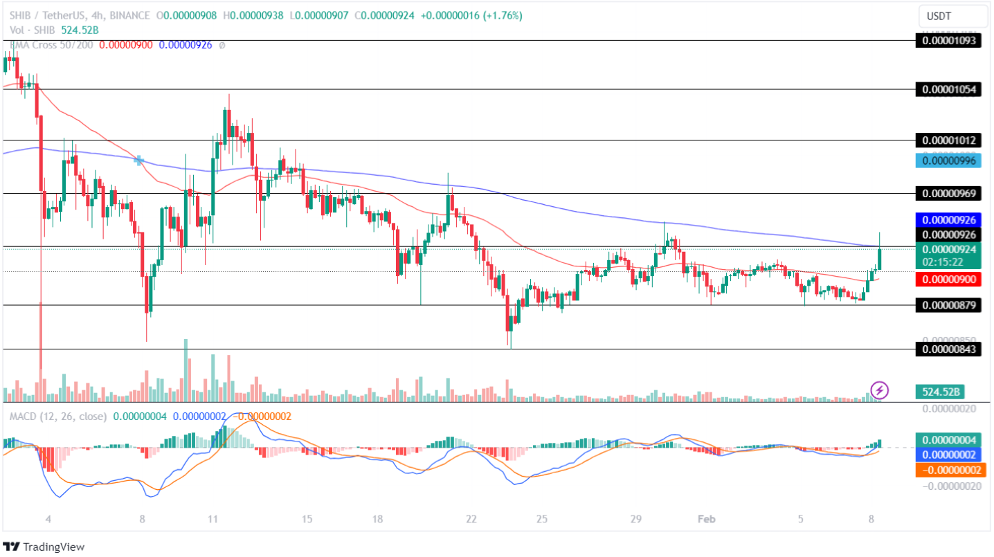 Shiba Inu Price Records Bullish Reversal! Is SHIB Price Preparing For A Massive Move?