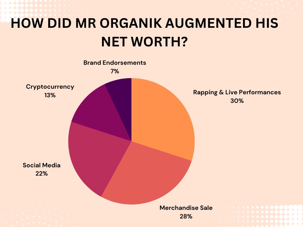 How Did Mr Organik Augmented His Net Worth