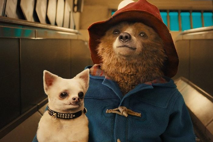 Paddington the movie