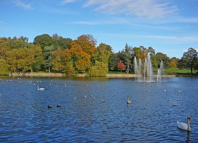 Roundhay Park 