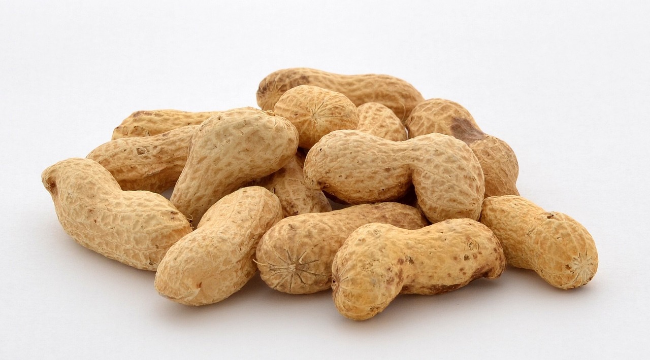 Free Peanuts Nuts photo and picture