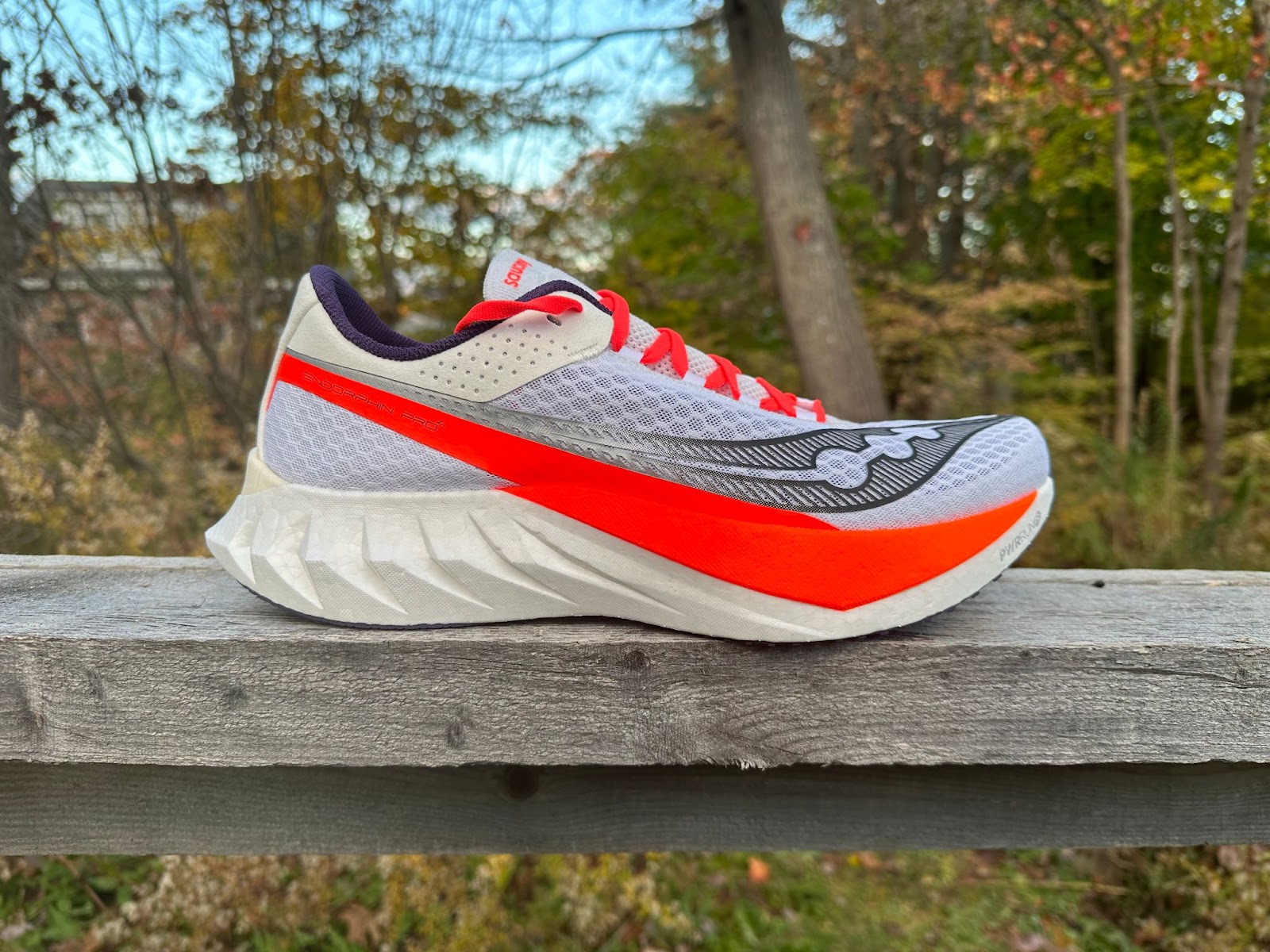 Test saucony 2024 endorphin pro