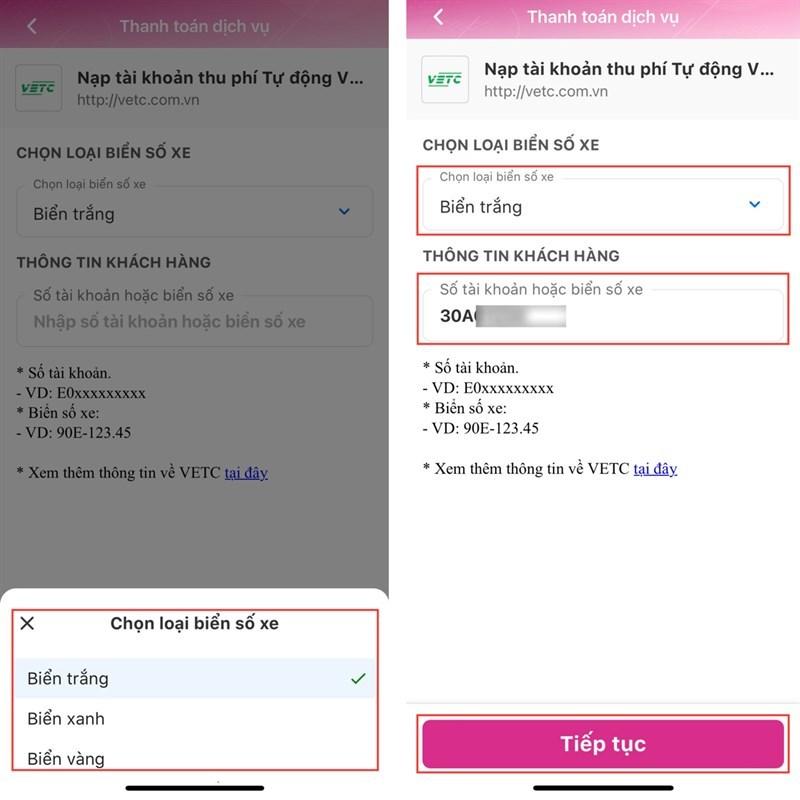 Chọn màu biển số xe, nhập biển số phương tiện/mã khách hàng rồi chọn Tiếp tục.