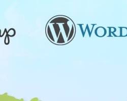 Image of Mailchimp for WordPress logo