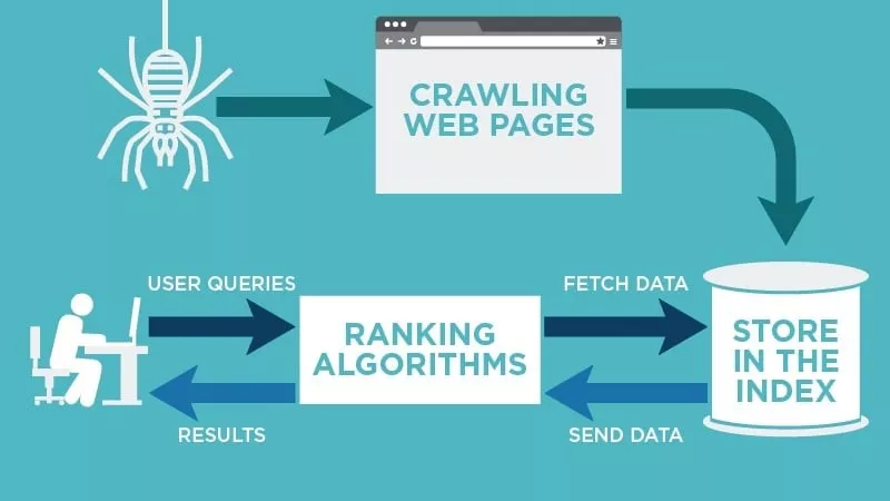 crawl errors