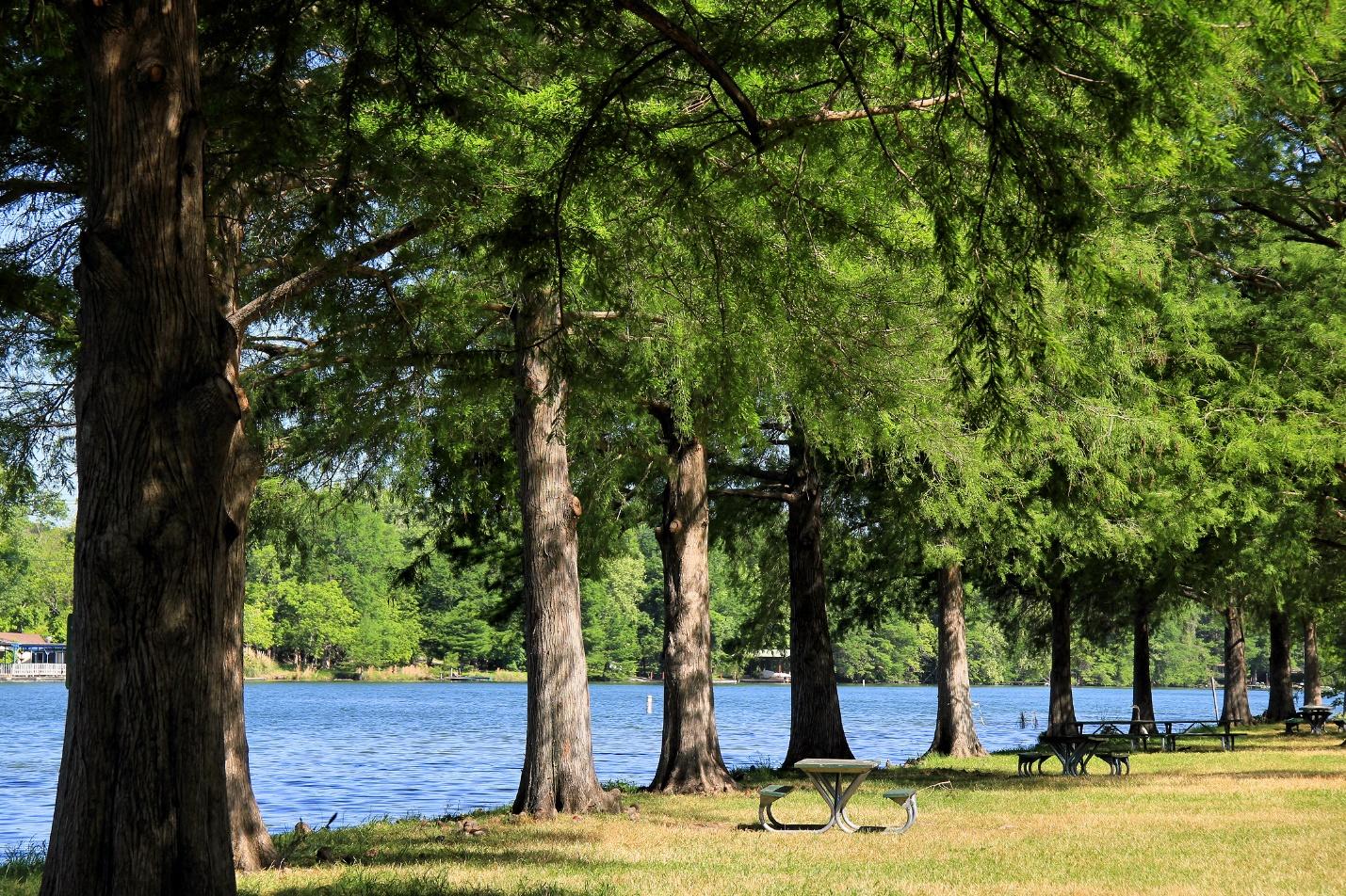 Town Lake Metropolitan Parks