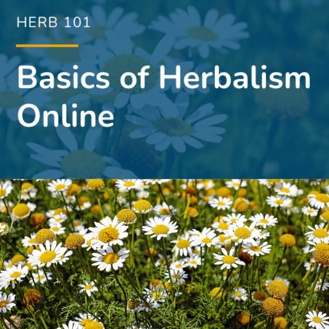 HERB 101 Basics of Herbalism Online