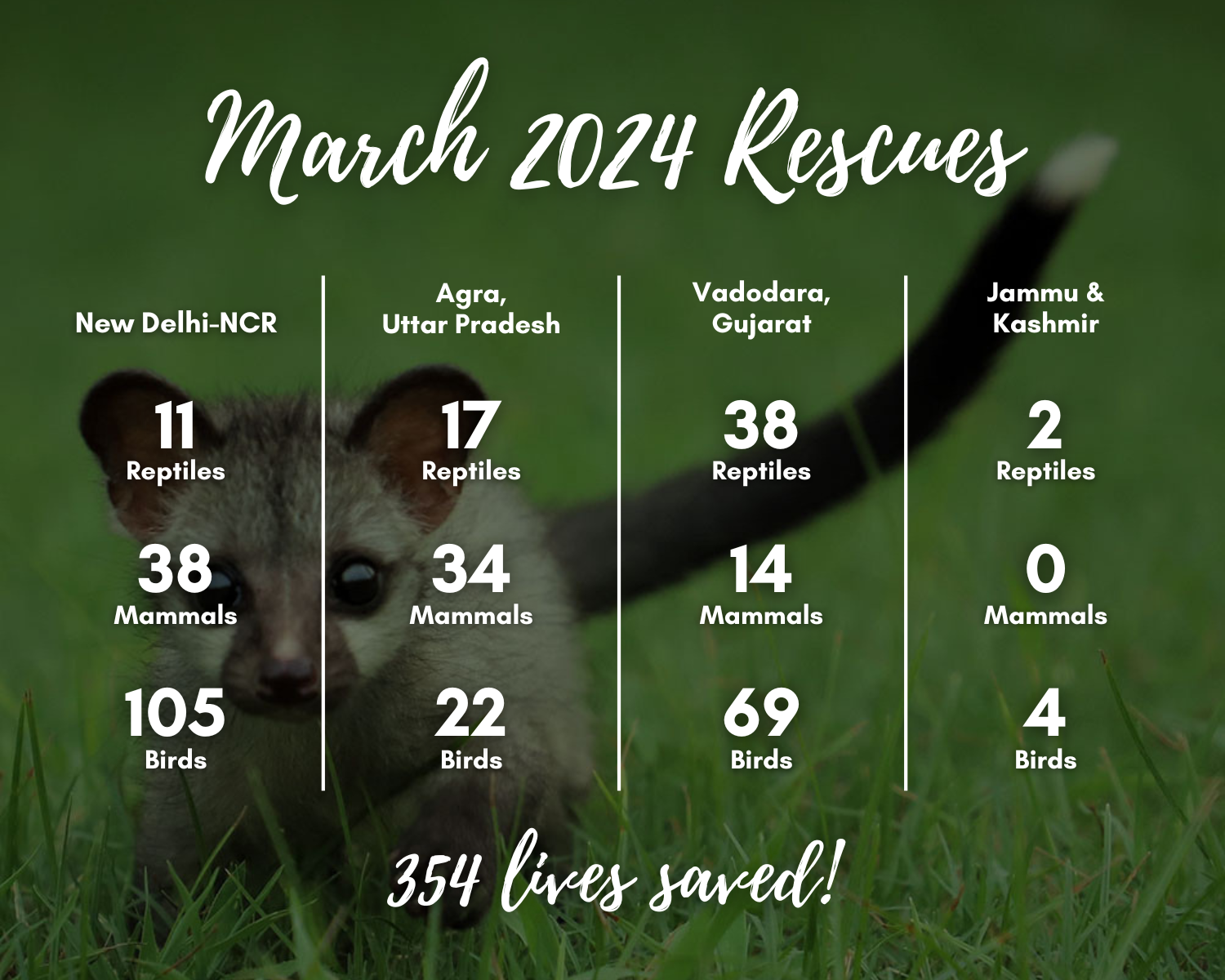 March Rescues