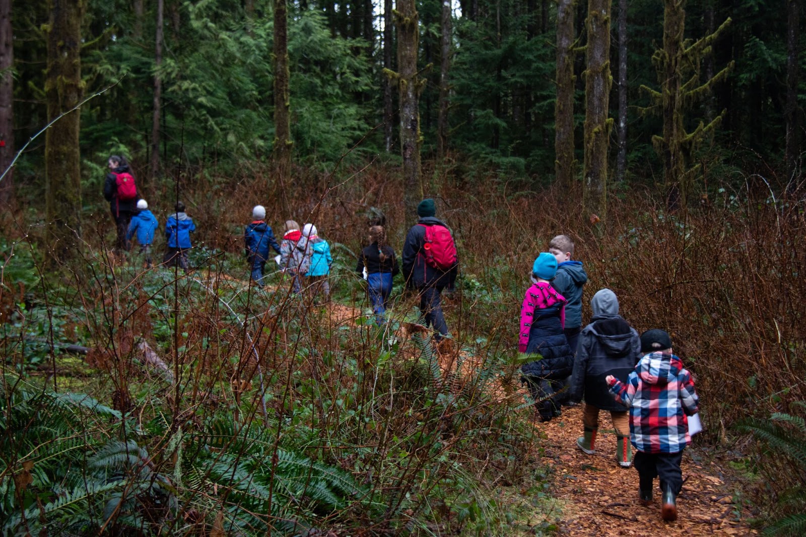 Kids dressed in colourful jackets walking along a trail through the forest with a leader out front for a day of forest school in Maple Ridge, BC.