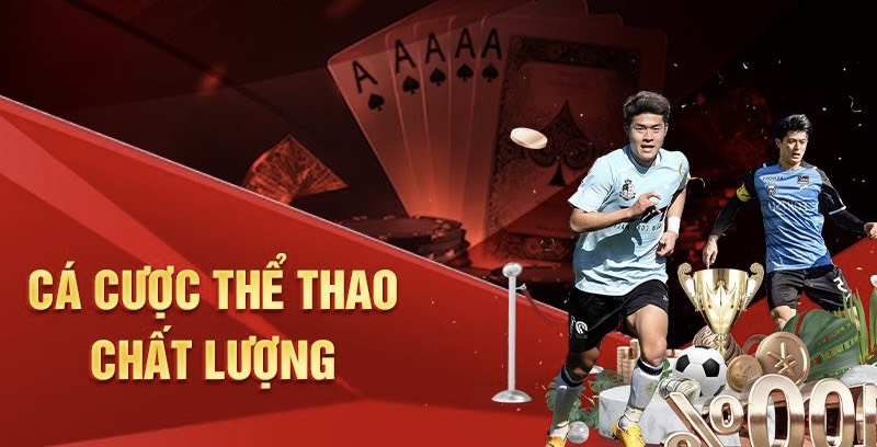 The thao 33win 2024