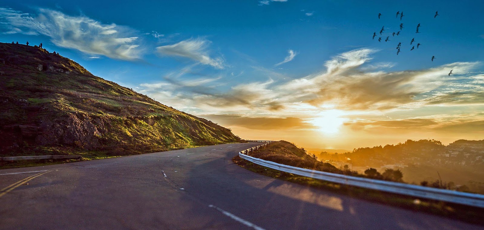 Road Trip Revelations Unveiled
