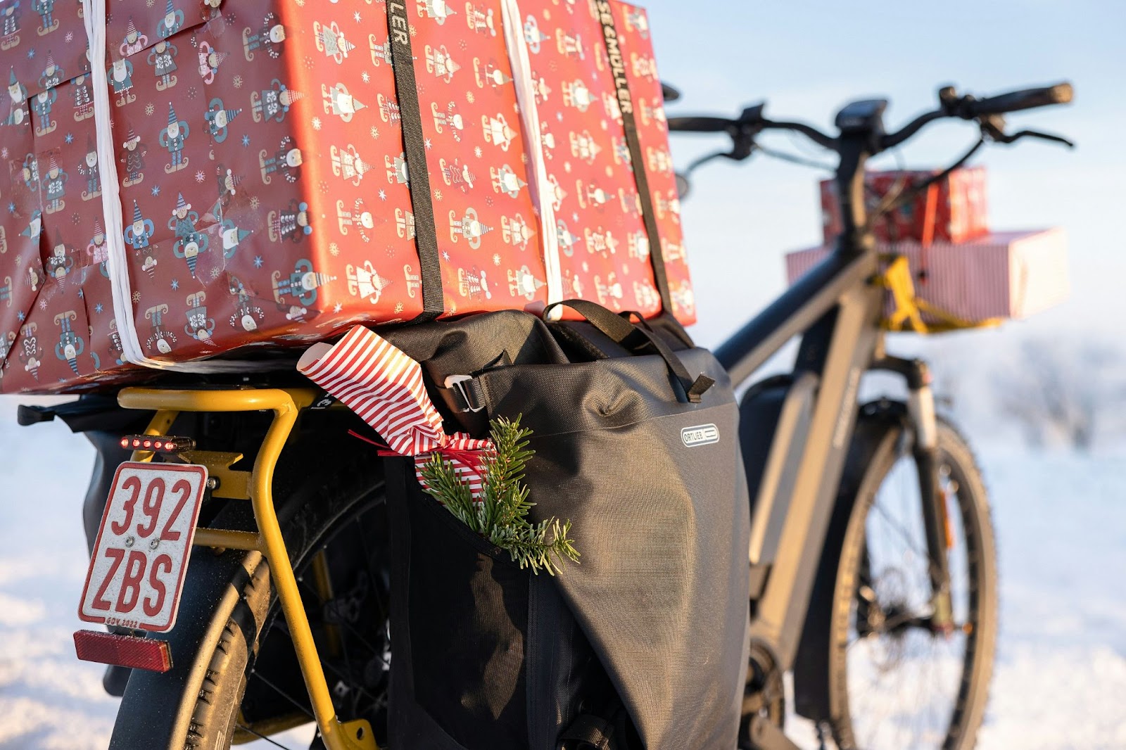 Longtail Cargo Bike Rental for Transporting Bulky Items