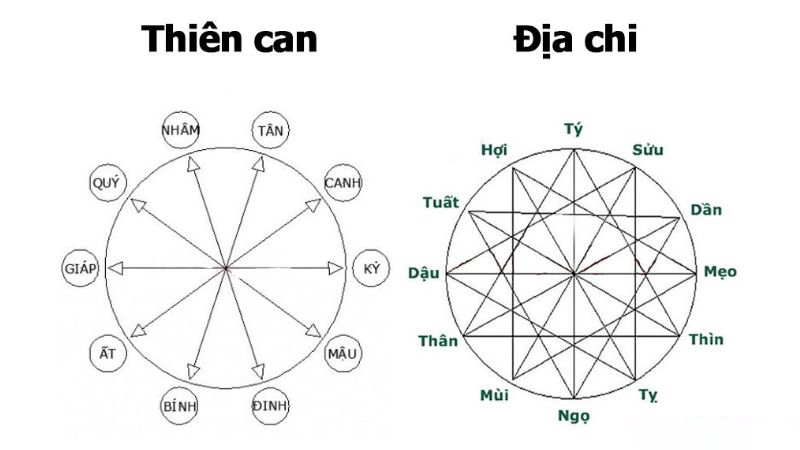 Thiên can, địa chi là gì?