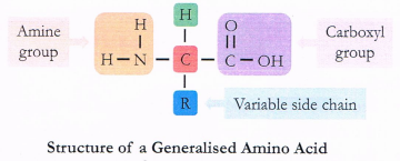 Diagrama

Descripción generada automáticamente